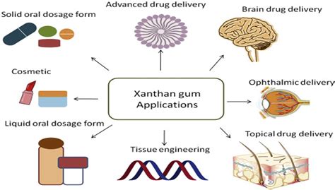  Xanthaneガム！食品から医薬品まで、幅広い分野で活躍する多機能高分子材料！